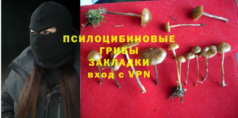 кракен рабочий сайт  купить наркотики цена  Назрань  Псилоцибиновые грибы MAGIC MUSHROOMS 